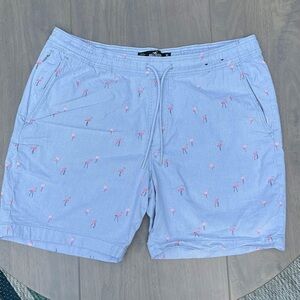 Hollister Jogger Short